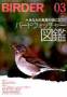 BIRDER�i�o...