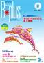 B-plus�i�d...