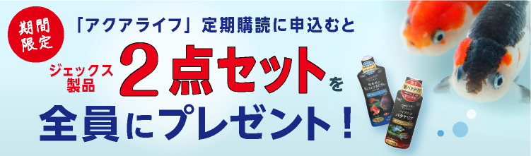 きんぎょ生活 No1〜No6 月刊アクアライフ 2022年 5月号+landing 