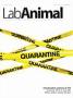 Lab Animal(�l�C�`���[�E�W���p���������)