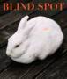 BLIND SPOT (�u���C���h�E�X�|�b�g)�i�C�O�G���j