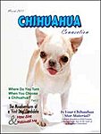 CHIHUAHUA CONNECTIONの表紙