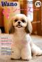 月刊wan 見本誌