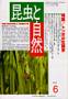 昆虫と自然 見本誌