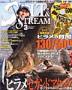 SALT＆STREAM（ソルト＆ストリーム） 見本誌