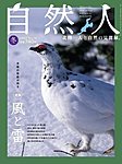 自然人