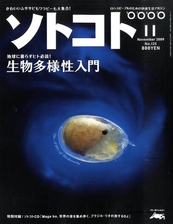254155_l