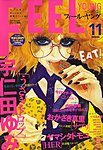 フィールヤング