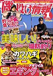磯・投げ情報
