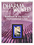 Dharma World（ダーマワールド）