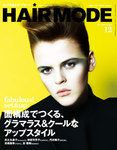 ヘアモード (HAIR MODE)