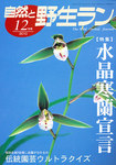自然と野生ラン