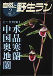 自然と野生ラン