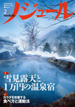 ノジュール（nodule）