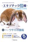 エキゾチック診療