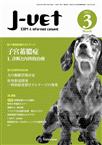 月刊J-VET(ジェイベット）