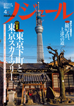 ノジュール（nodule）