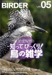 BIRDER（バーダー）