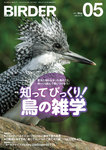 BIRDER（バーダー）