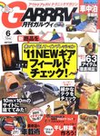 ガルヴィ