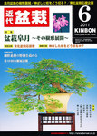 月刊 近代盆栽