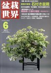盆栽世界