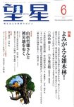 望星