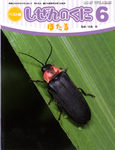 しぜんのくに