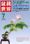 盆栽世界