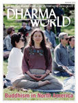 Dharma World(ダーマワールド)
