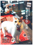 ねこ
