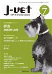 月刊J-VET(ジェイベット）