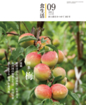 月刊食生活