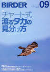 BIRDER（バーダー）