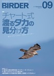 BIRDER（バーダー）