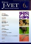 月刊J-VET(ジェイベット）