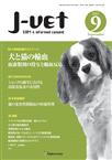 月刊J-VET(ジェイベット）