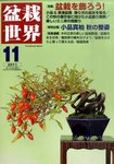 盆栽世界