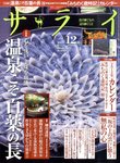 サライ