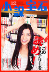 小説宝石