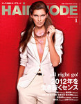 ヘアモード (HAIR MODE)