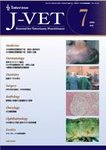 月刊J-VET(ジェイベット）