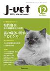 月刊J-VET(ジェイベット）