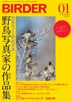BIRDER（バーダー）