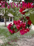 SEVEN HILLS Premium