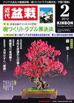 月刊 近代盆栽