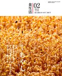 月刊食生活