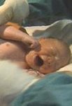 インサイドヒューマンボディー DVD （Inside Human Body）（改訂版）