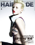 ヘアモード (HAIR MODE)