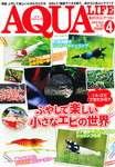 アクアライフ